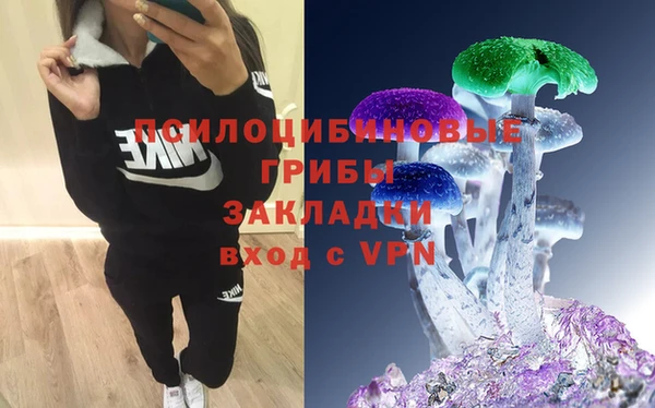 эйфоретик Алексеевка