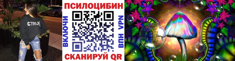 Галлюциногенные грибы Psilocybine cubensis  Пыталово 